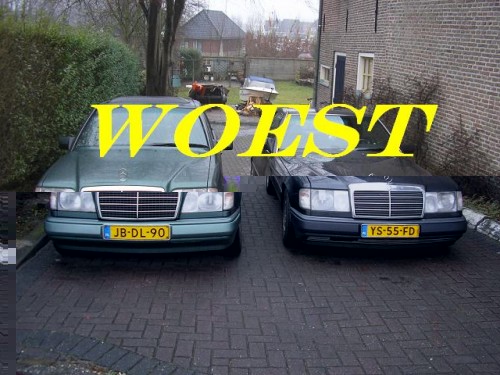 woest.jpg