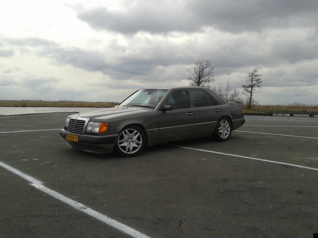 Oudje van afgelopen voorjaar