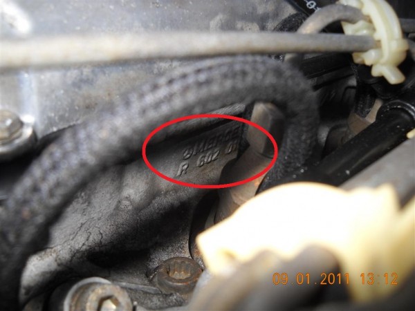 DSCN1679 (Medium).JPG