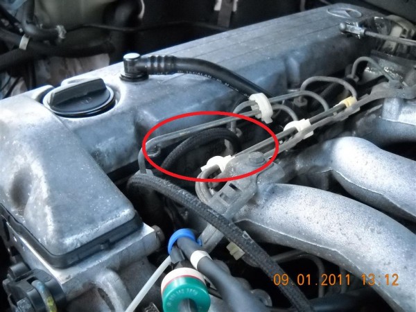 DSCN1680 (Medium).JPG