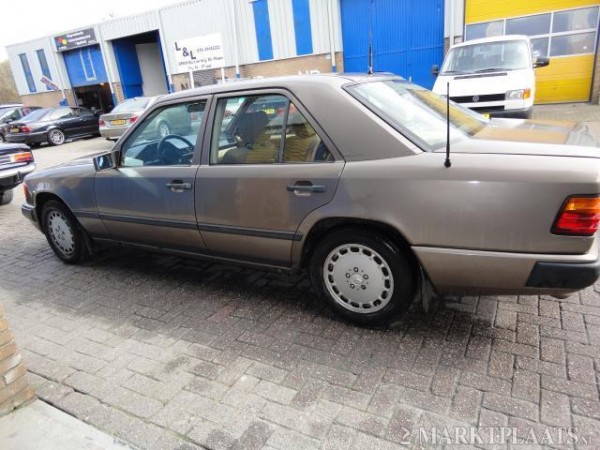 441 impala (impala brown).jpg