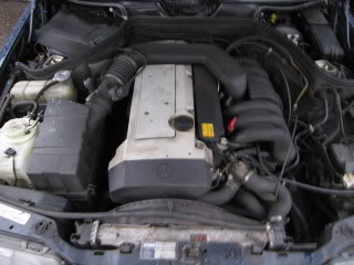 W124E2802005.jpg