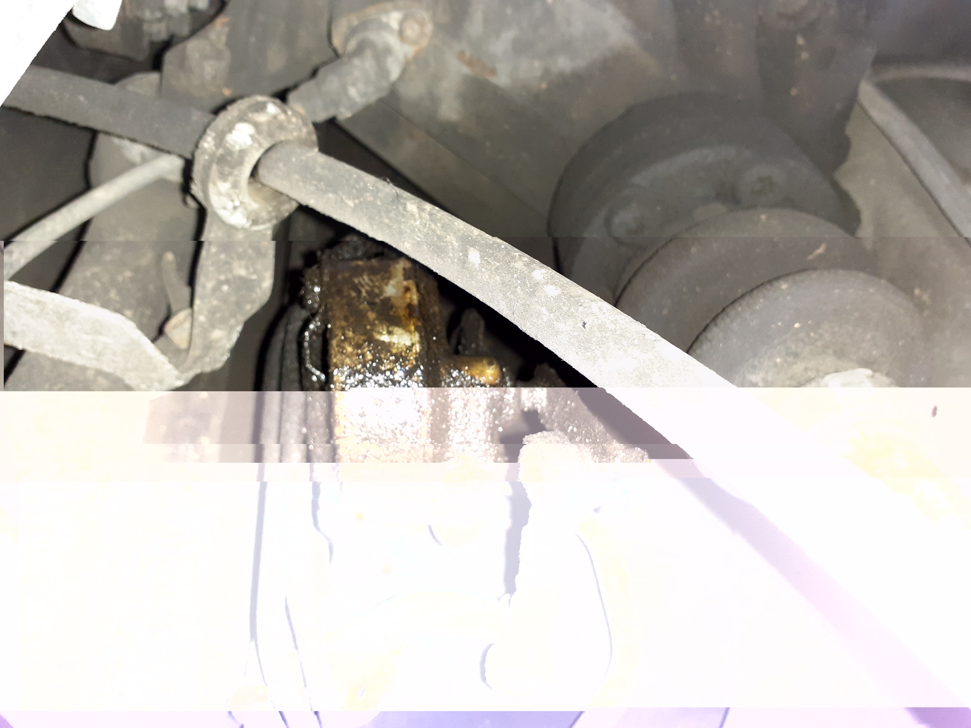 20191102_121411 (1).jpg