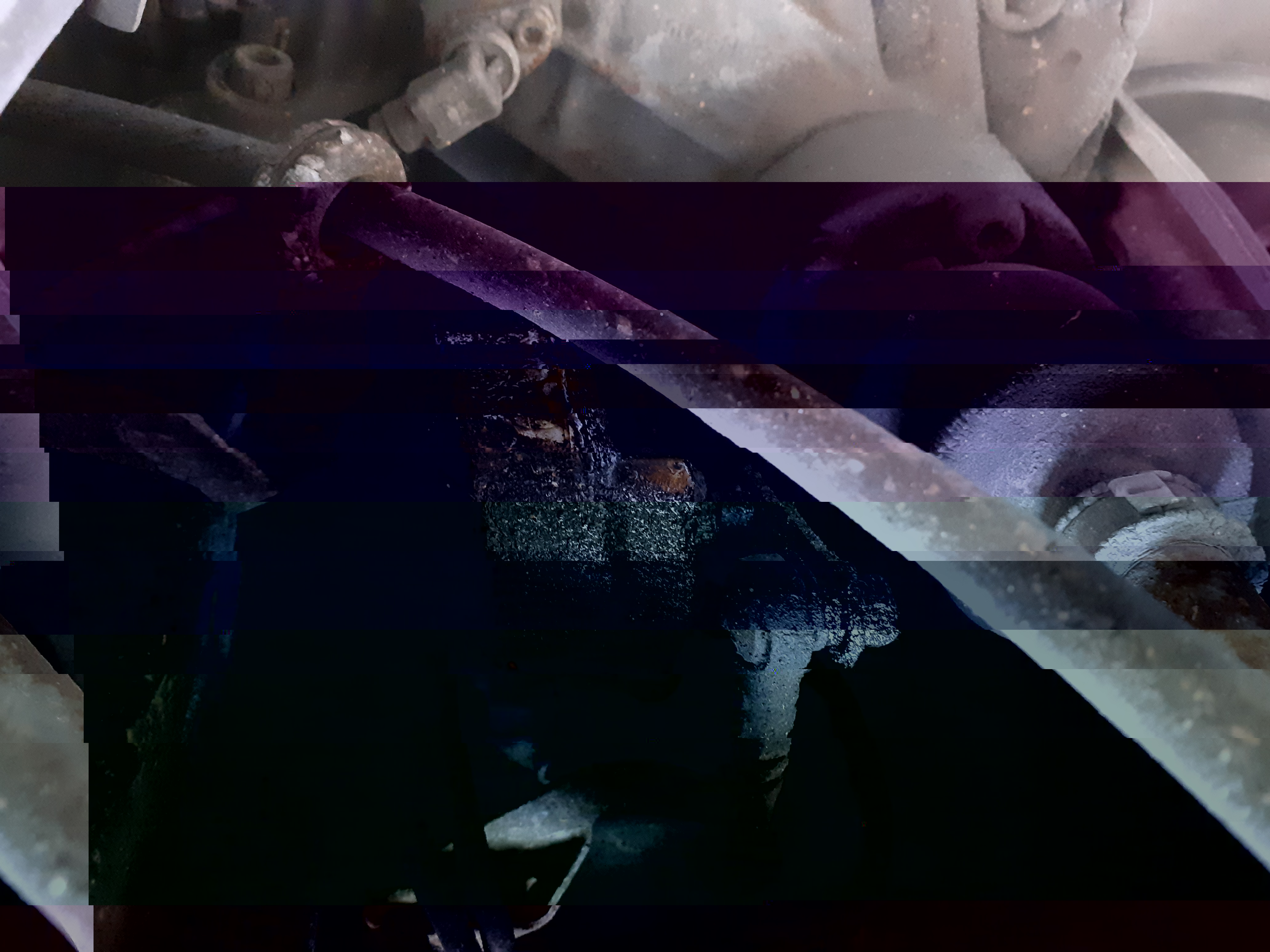 20191102_121412 (2).jpg