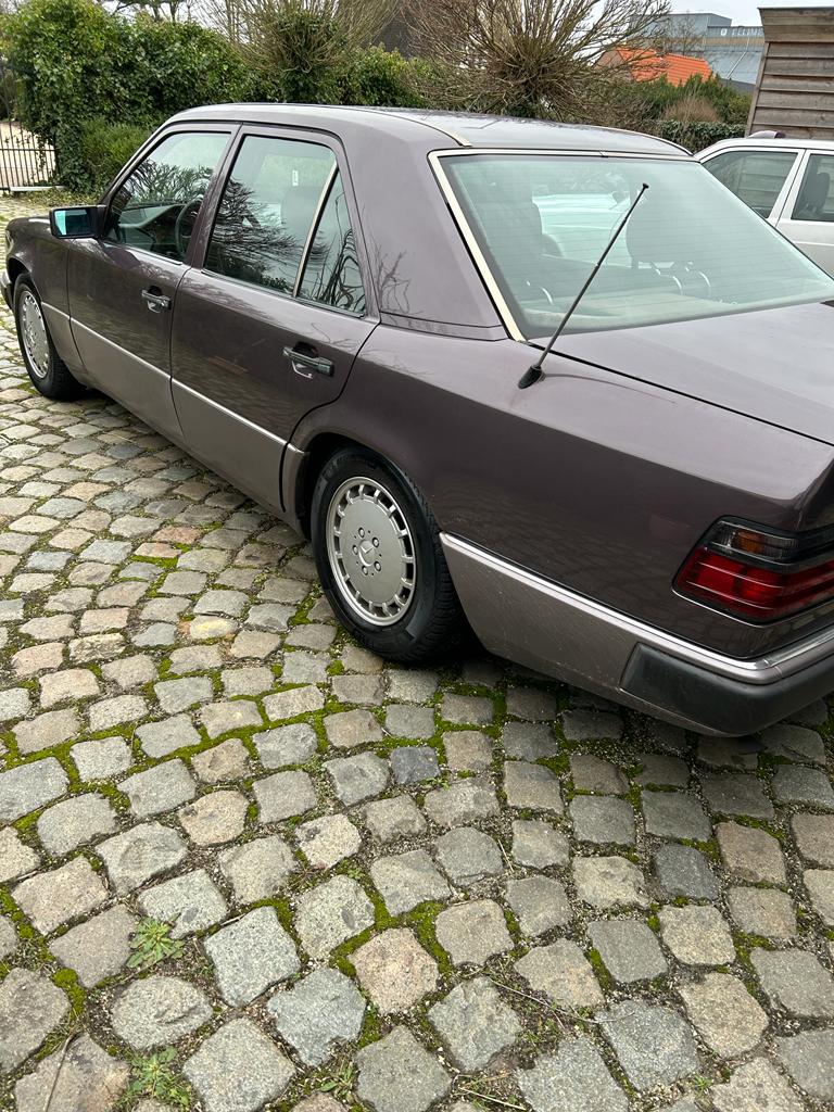 WhatsApp Image 2022-12-30 at 13.06.34.jpeg