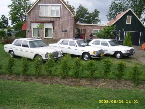 mercedessen.JPG